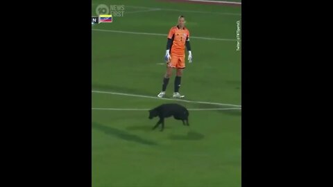 Pitch invader
