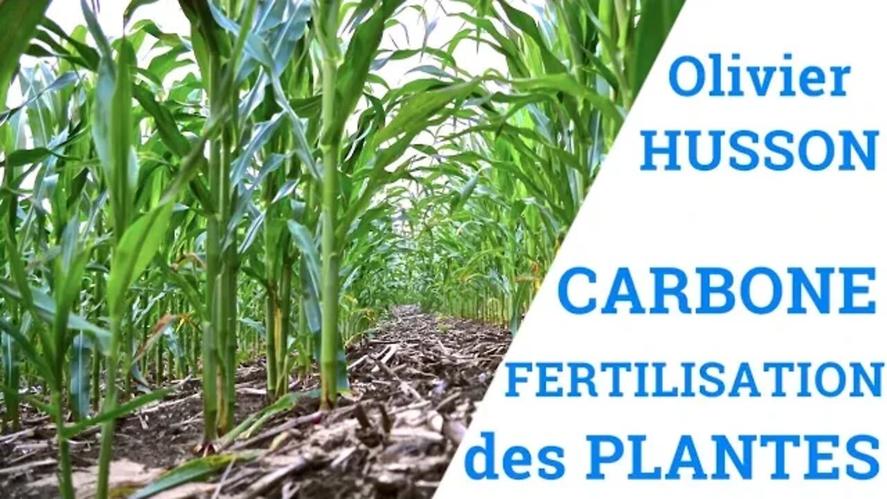 Carbone et Fertilisation des Plantes - Olivier HUSSON