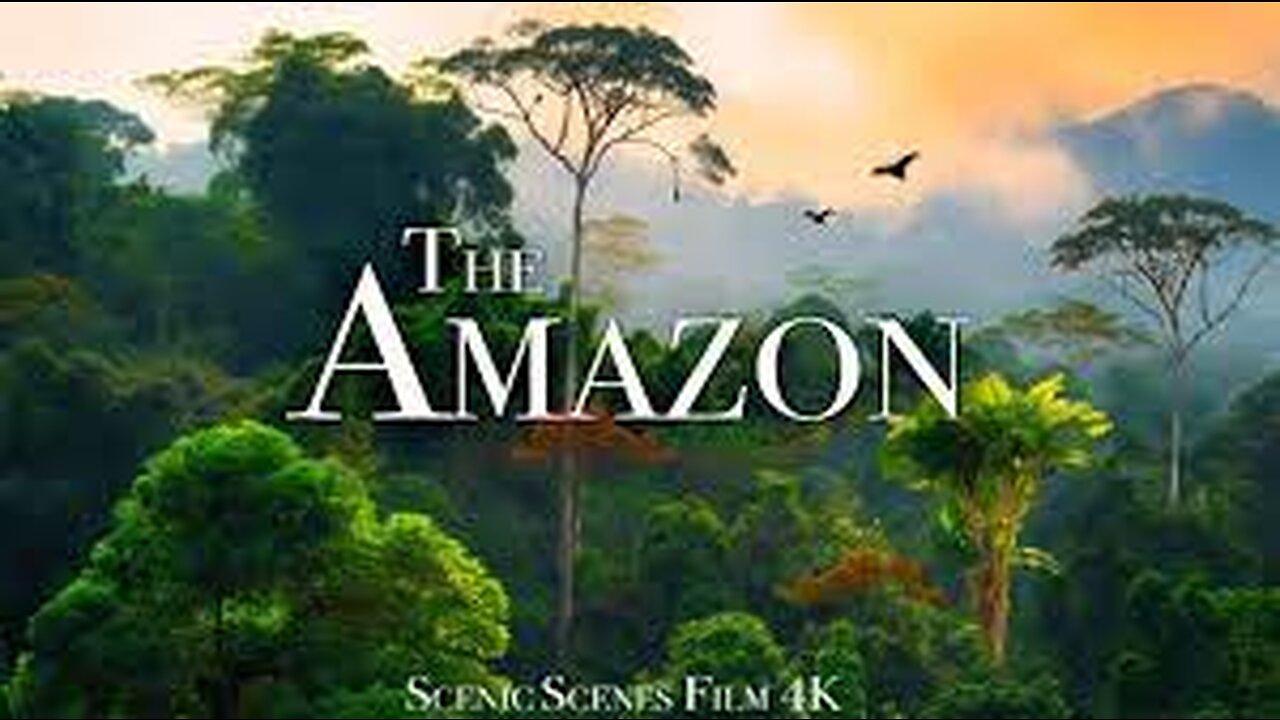 Amazon 4k - The World’s Largest Tropical Rainforest Part 2 | Jungle Sounds | Scenic Relaxation Film