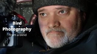 Bird Photography from a blind