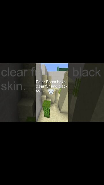 Minecraft Parkour with Crazy Facts #5