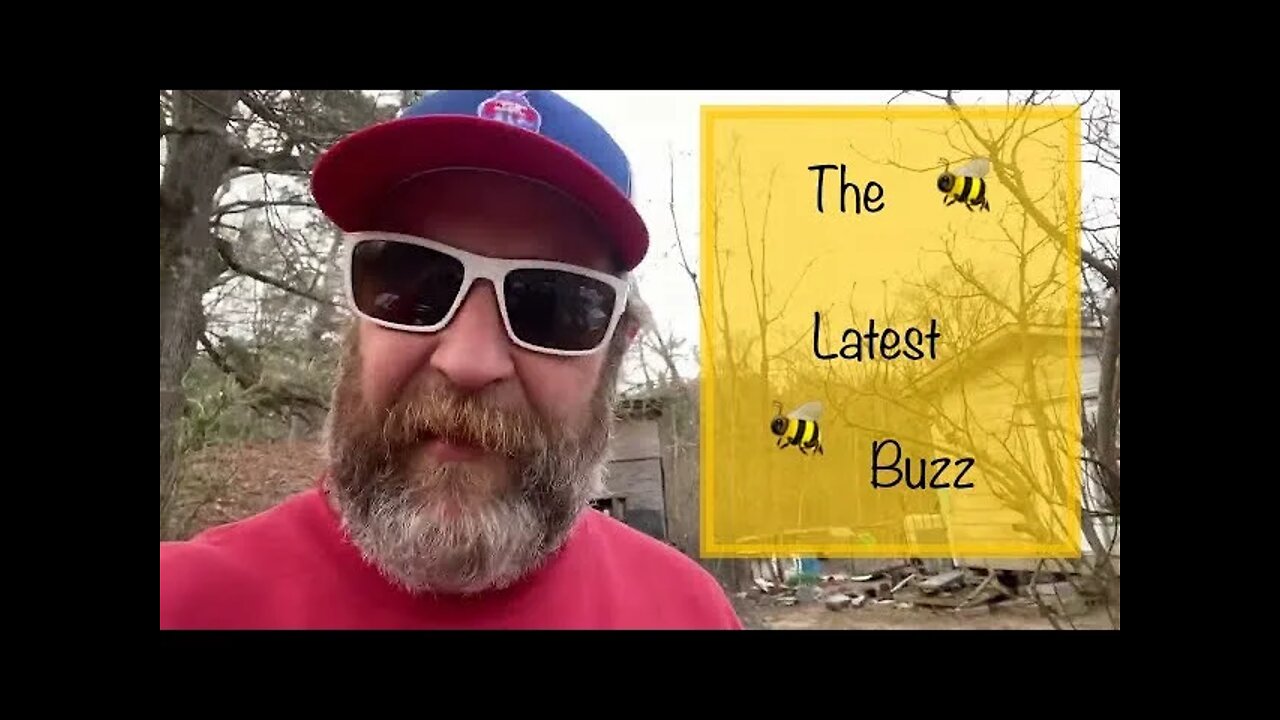 Installing bee packages for the first time.