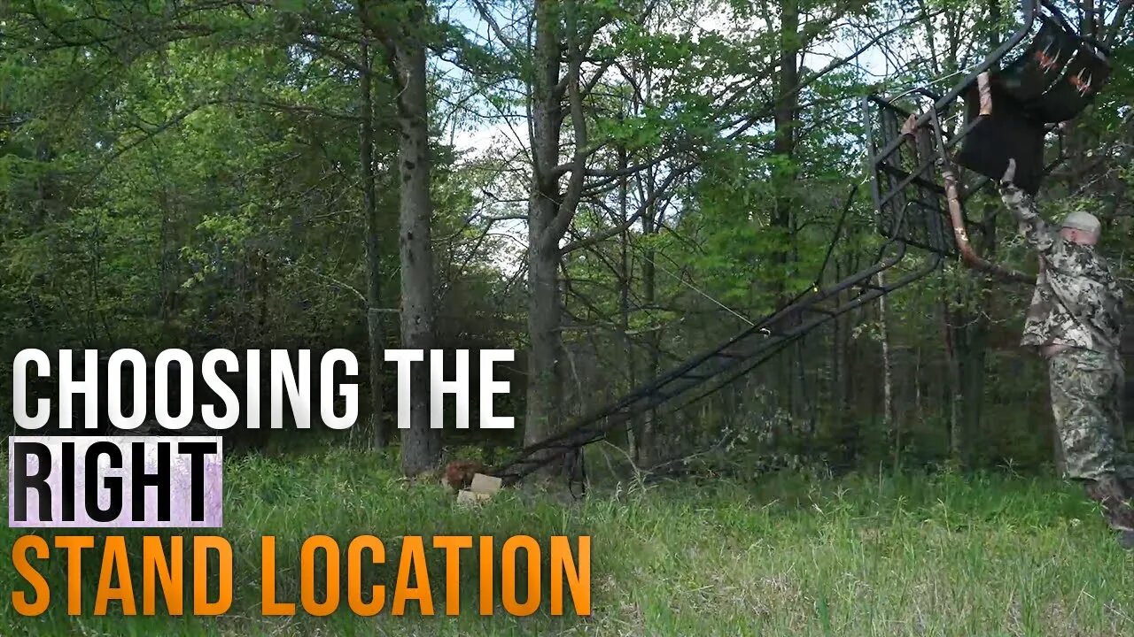 Deer Trails and Treestand Placement