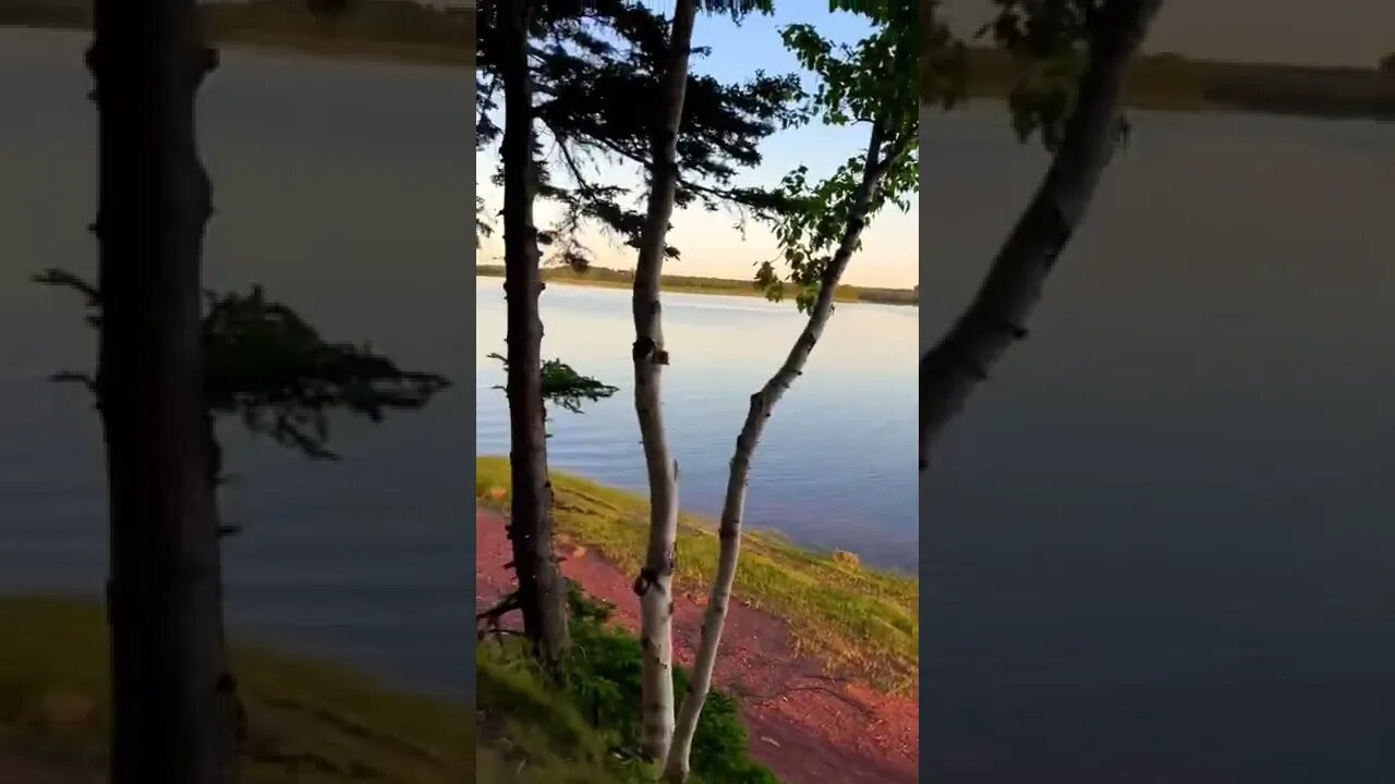 Trails above the water