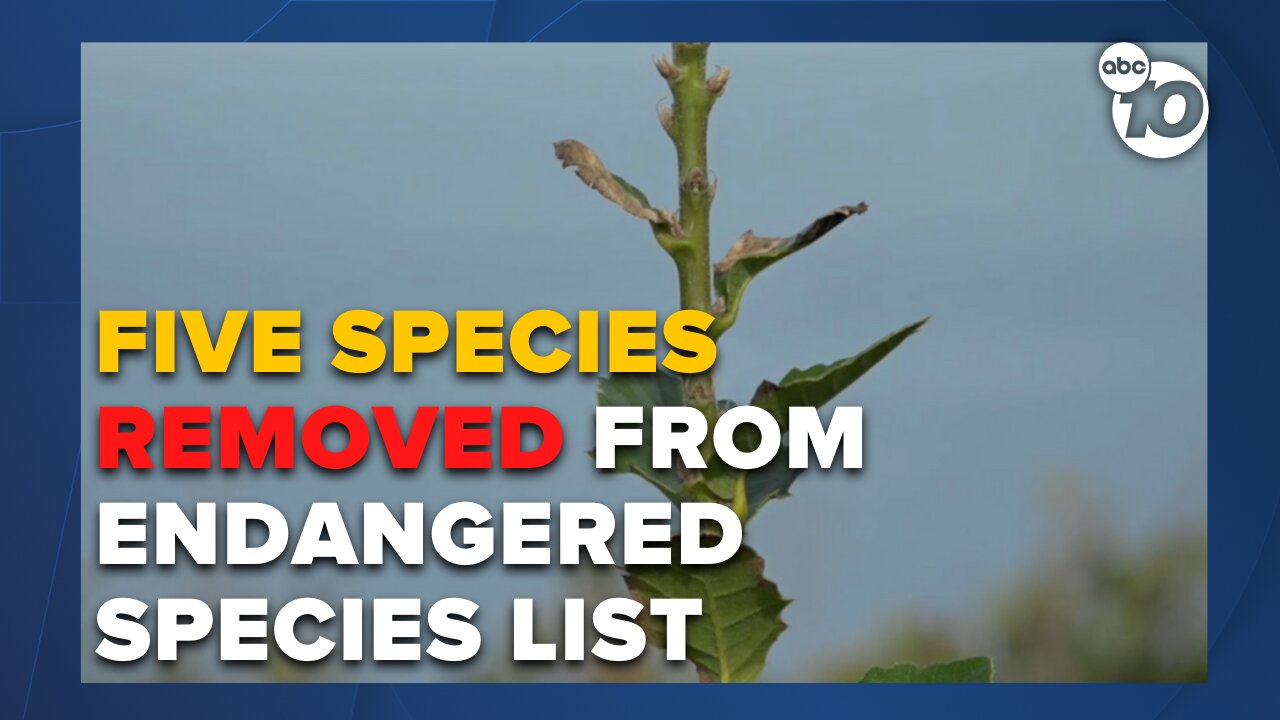 Five species taken off endangered list