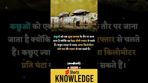 Motivational Quotes Intresting Facts lifestyle & research #shorts #ytshorts #knowledge #motivation