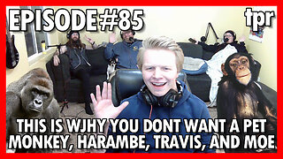 This is why you don't want a pet monkey, Harambe, Travis, and Moe