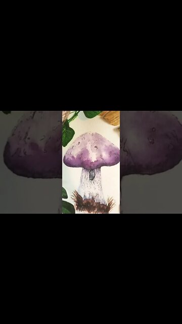 Mushroom #shorts #mushroom #shrooms #watercolor #artistshorts