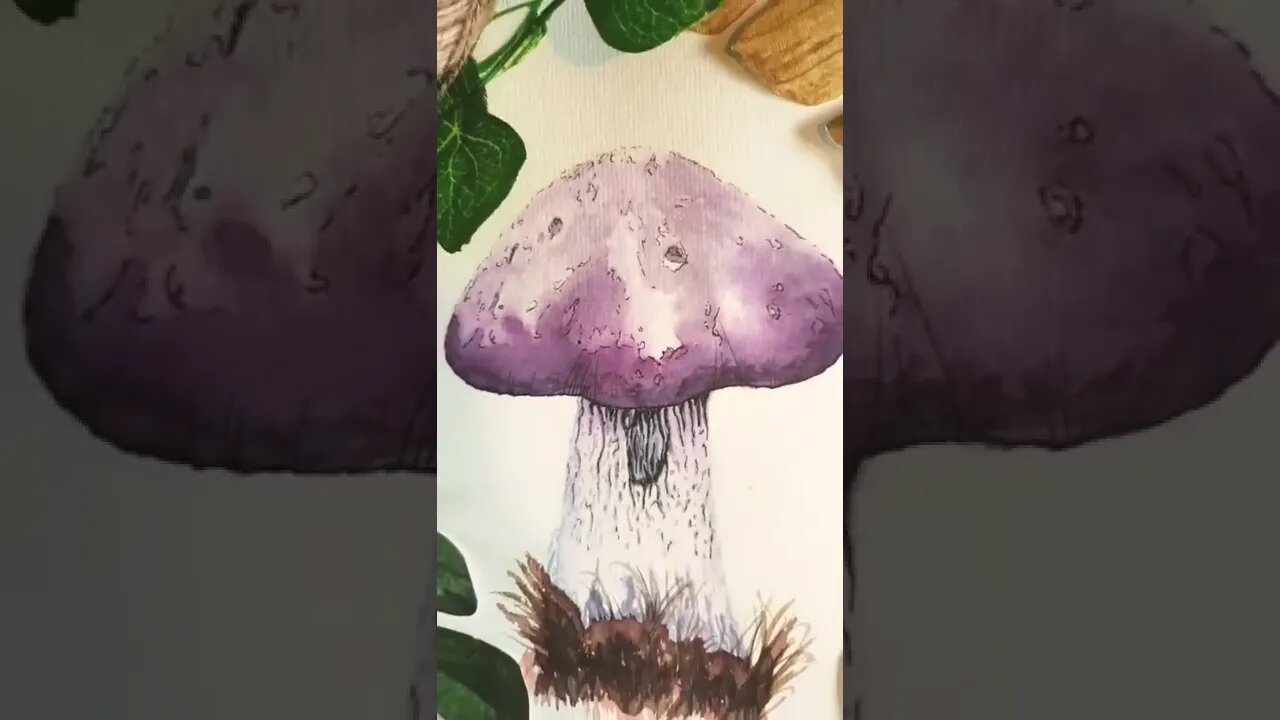 Mushroom #shorts #mushroom #shrooms #watercolor #artistshorts