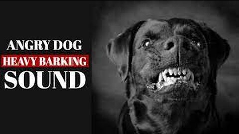 🎼Dog Barking Sound | Dog Sound Effect _ by the mobile ringtone