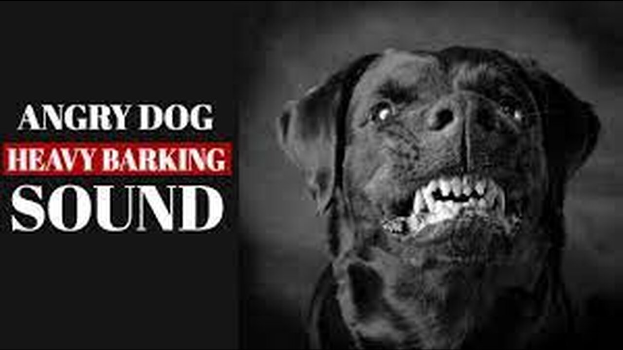 🎼Dog Barking Sound | Dog Sound Effect _ by the mobile ringtone