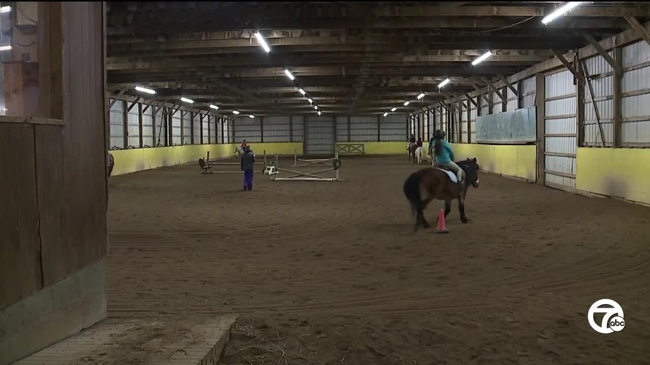 Commerce horse farm at risk of closing over dispute with township