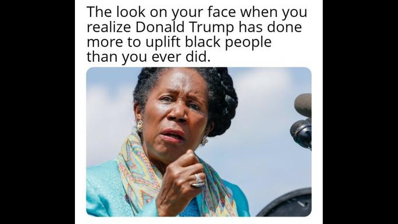 sheila jackson lee loses houston mayor's race to fellow liberal democrat tough-on-crime state senato