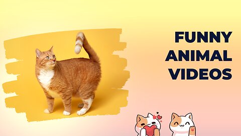 Funny Animal Videos 2023 - Funniest Cats And Dogs Video 😂😂❤