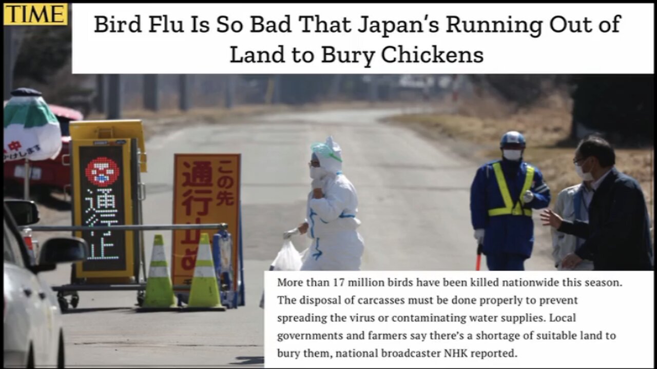 Flu, Bird Flu, Whatever Flu—Vaccine For You - UK Column News - 12th April 2023