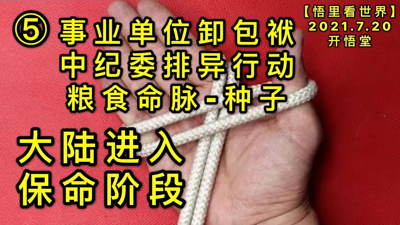 KWT2132(5)大陆进入保命阶段-事业单位市场化的卸包袱/中纪委加大排异行动/粮食命脉-种子的丧失20210720-13【悟里看世界】