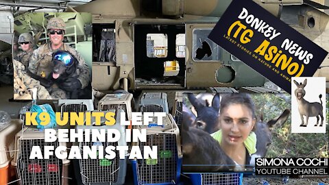 K9 Units left behind in Afganistan - We want them back!