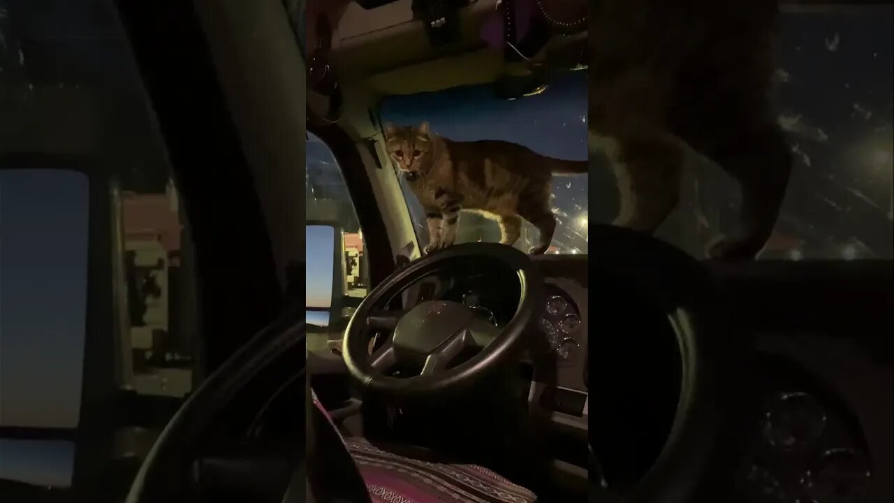 time for dinner
