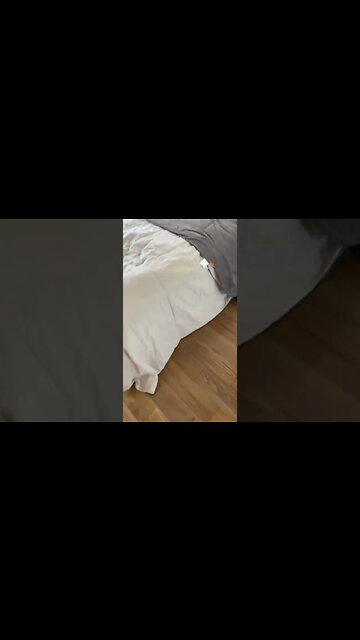 #shorts #2022 funny,prank,funjokes,dad jokes,funny memes,funny video,fun,laughing,funny animal,knock