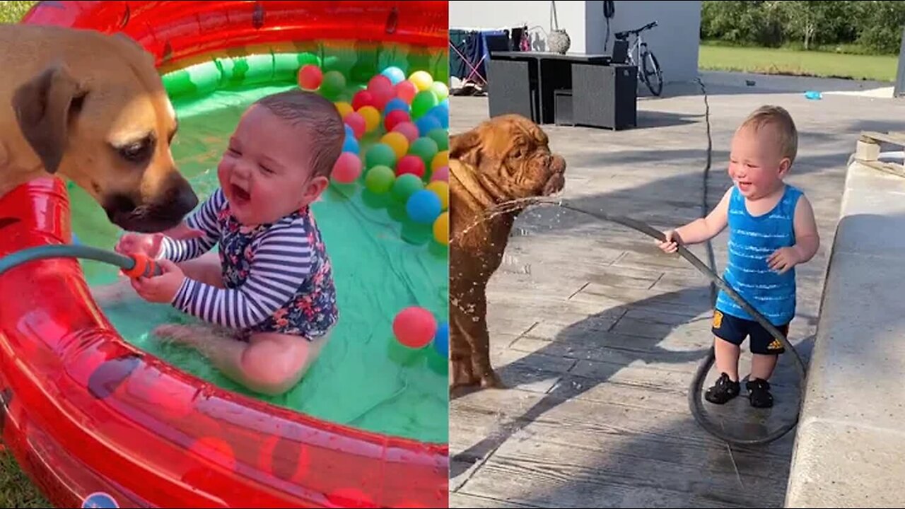 Funny Babies Laughing Hysterically at Dogs Compilation