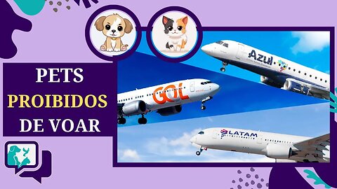 🚫✈️Latam, Gol e Azul Suspendem Transporte de Pets para os EUA: Novas Restrições do CDC