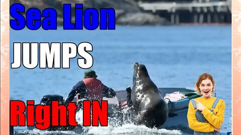 How To Avoid Making Common Mistakes When Viewing Whales With A Sea Lion