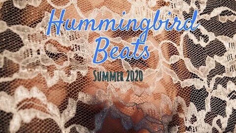 No. 2 by The Denotes (No Copyright Music)