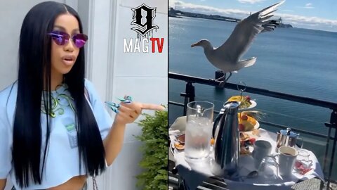 Cardi B Ran Off By Bird Who Eats Her Breakfast! 😱