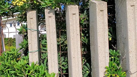 Trump border wall design is not new