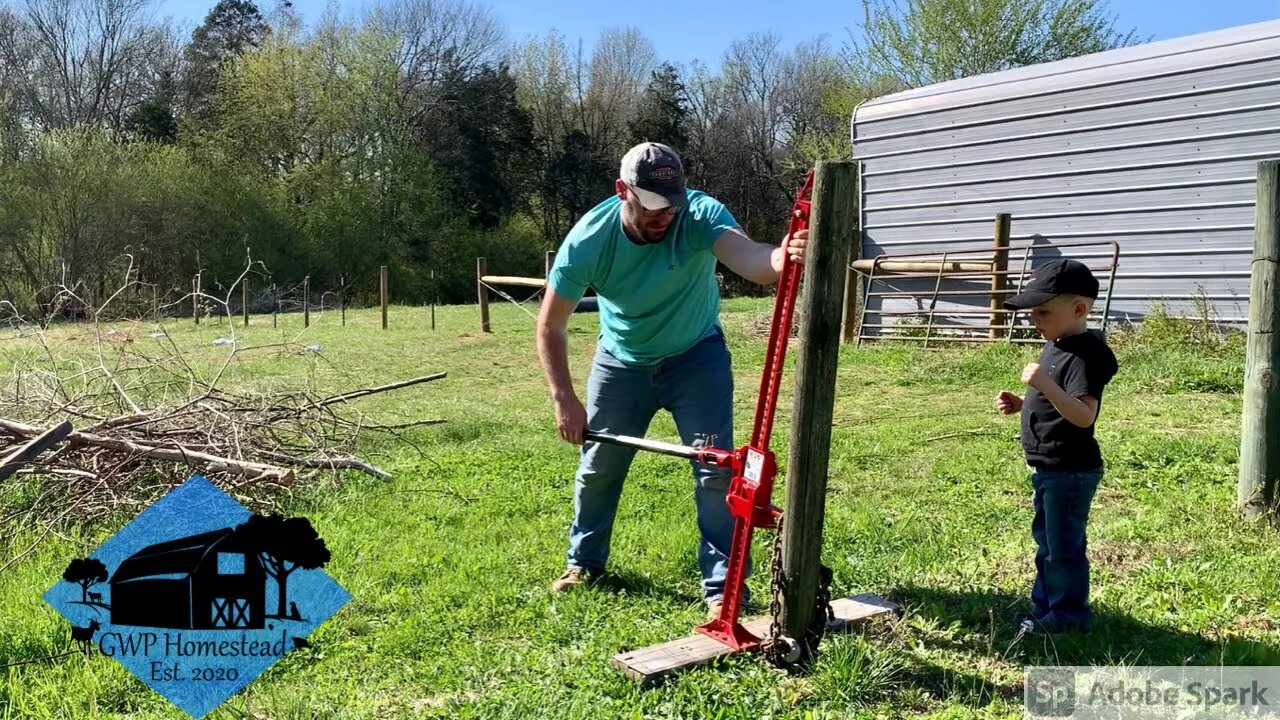 Removing a Fence and Clearing Brush to Prepare our Garden Site