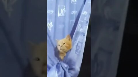 That's cool 😍😍😍😂