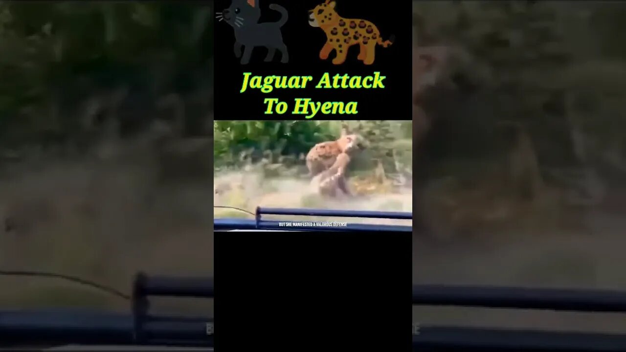 Jaguar attack To Hyena 2022 🐈‍⬛#youtubeshorts #shorts #shortvideo