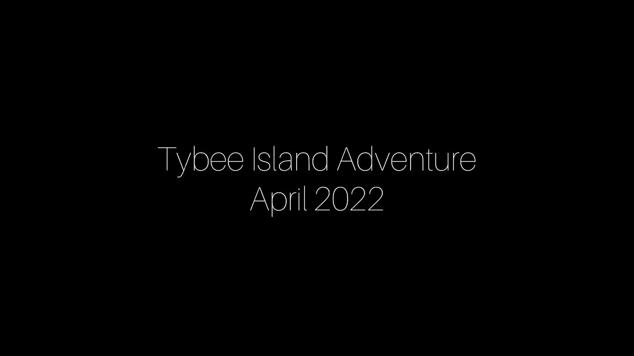 Tybee Island Adventure