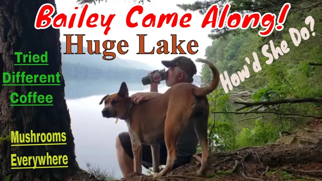 Hike to 2nd Lake at Weiser Forest District Roaring Creek Tract. Dog Bailey's First Video Appearance