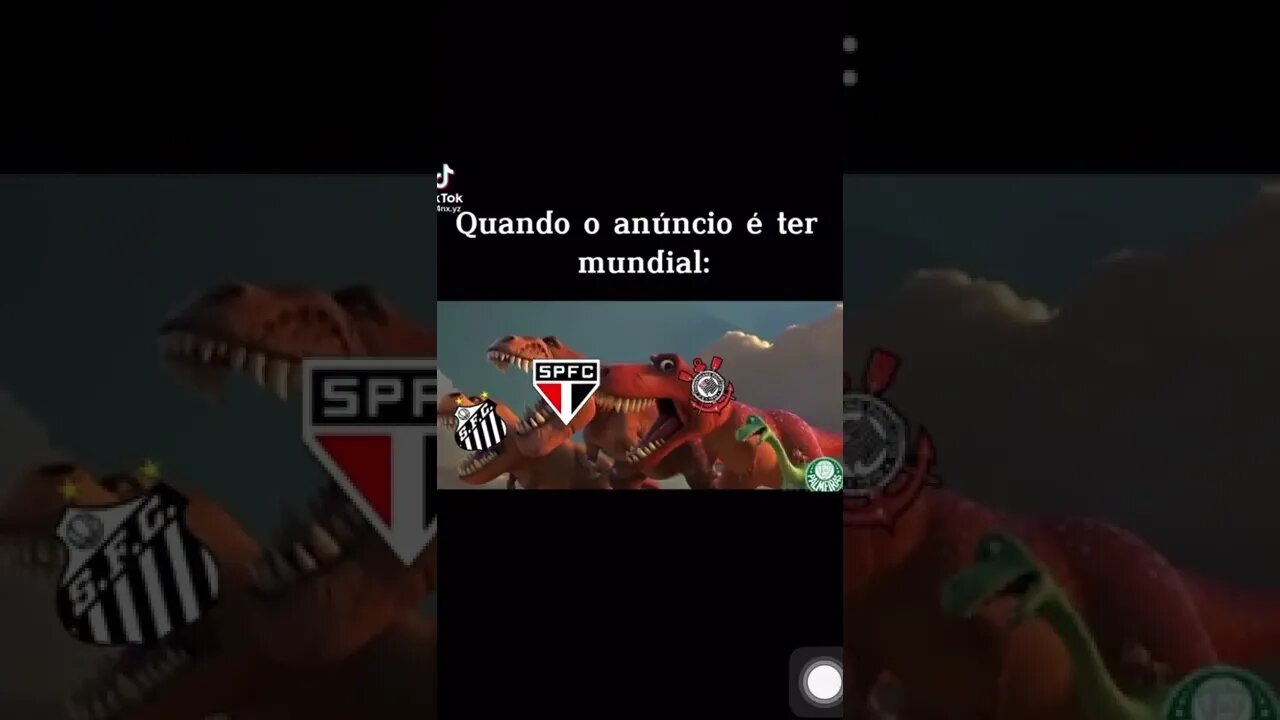 Quem tem Mundial aí? #palmeiras #spfc #santos #corinthians #mundialdeclubes #futebol #libertadores