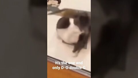 MEME is the one and only D-O double G #shorts