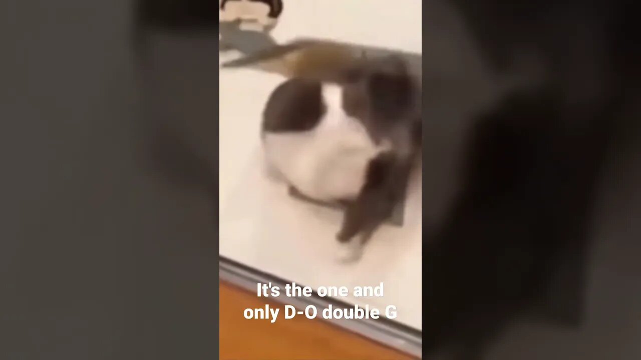 MEME is the one and only D-O double G #shorts