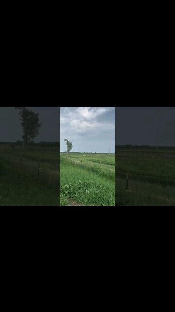 Bad Weather Incoming…⛈🌩 Getting Everyone Settled. #shorts #storm #iowa #homestead #farm