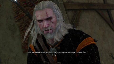 The Witcher 3: Wild Hunt Part 113-Deal Gone Sideways