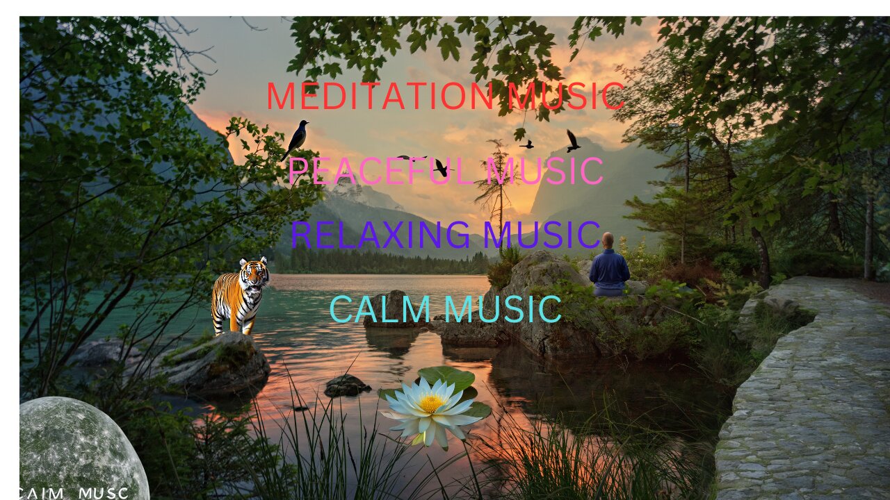 calm natural music music with singing boul