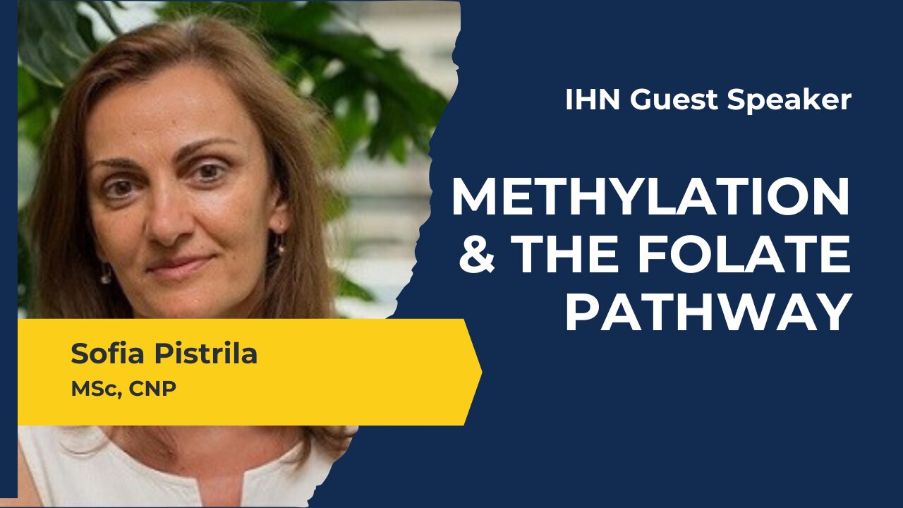 A Bird’s-Eye View of The Methylation Cycle & Folate Pathway