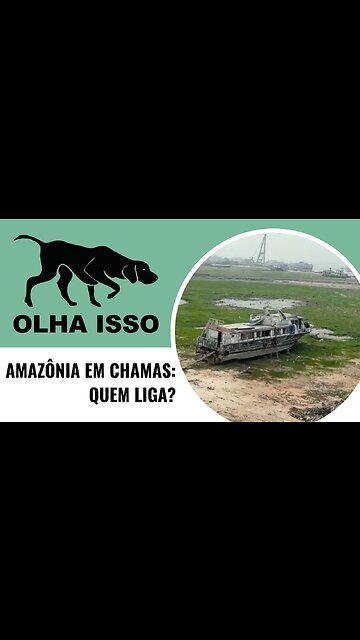 AMAZÔNIA EM CHAMAS: QUEM LIGA?
