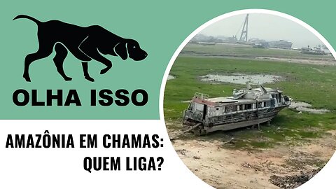AMAZÔNIA EM CHAMAS: QUEM LIGA?