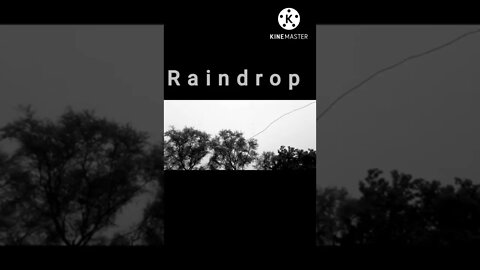 Raindrop