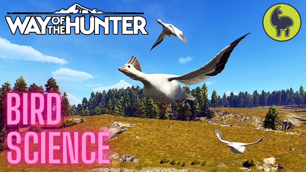 Bird Science, Nez Perce Valley | Way of the Hunter (PS5 4K)
