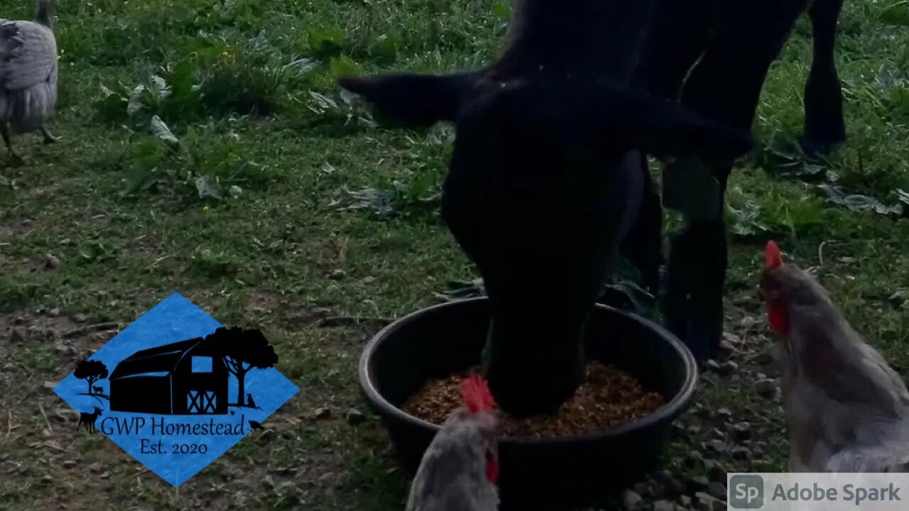 Build on the rock #shorts