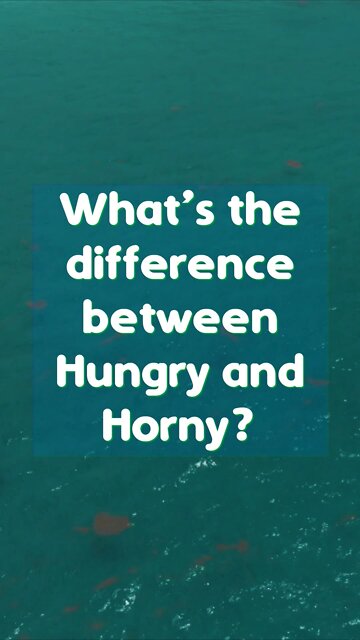 Joke. What is the difference between Hungry and Horny