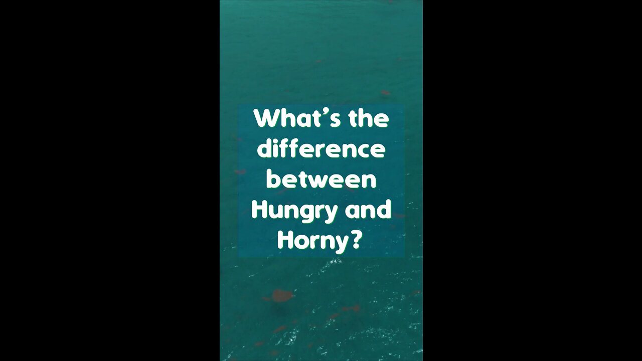 Joke. What is the difference between Hungry and Horny