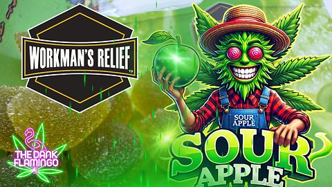 Trying D9 THC Sour Apple Gummies from Workman's Relief! The Dank Flamingo Cannabis Review!