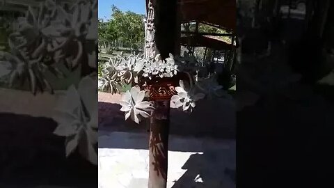 Passeio em Porangaba SP - Jardins